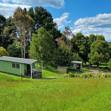 Cozy Otways Accommodation Beech Forest Екстериор снимка